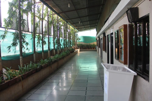 School Premises